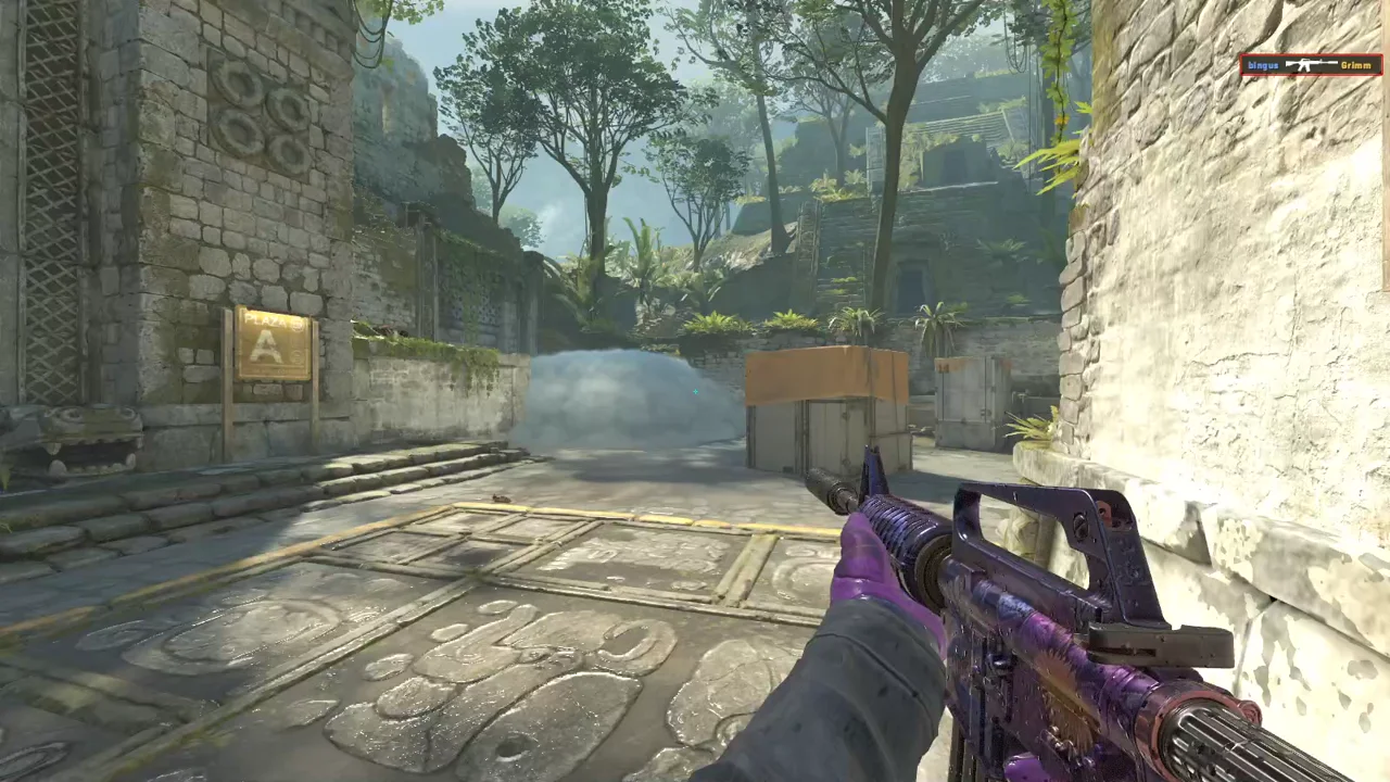 highlight